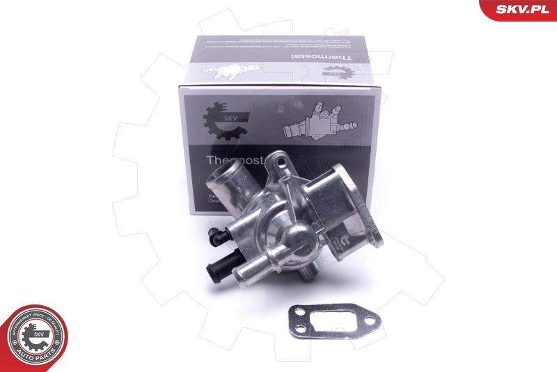 Thermostat, coolant